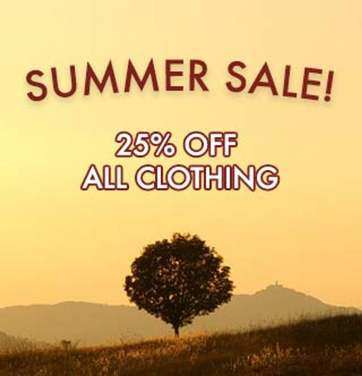 summer-sale-newsletter